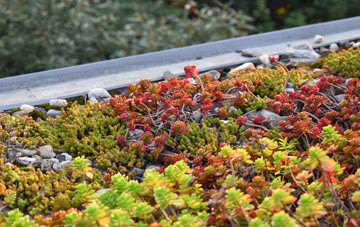 the cost of Sheet green roof installation