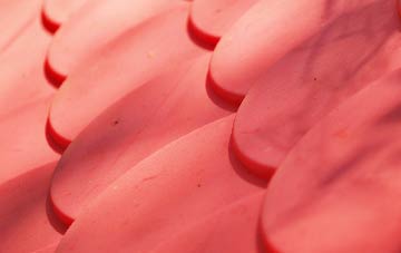 Sheet plastic roof costs