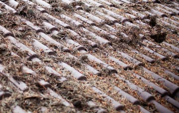 Sheet roof cleaning companies