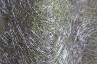 Sheet fibreglass roof work